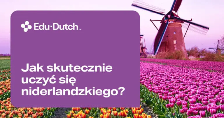 Jak najlepiej, najszybciej i skutecznie nauczyć się języka niderlandzkiego?