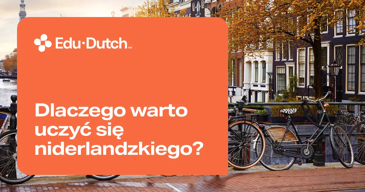 Dlaczego warto uczyć się niderlandzkiego? 5 praktycznych powodów